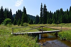 Копаоник
