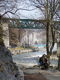 Užice